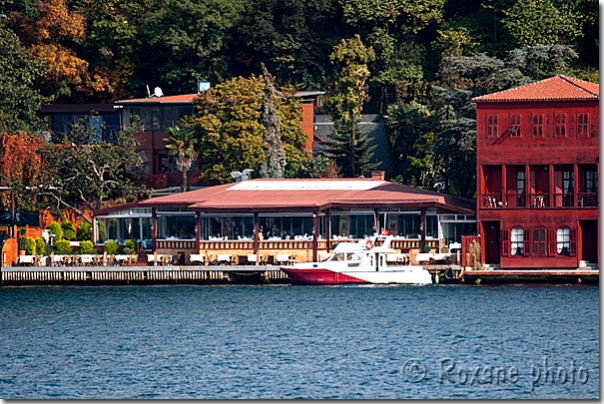 Uskumru - Anadolu hisari - Beykoz - Istanbul